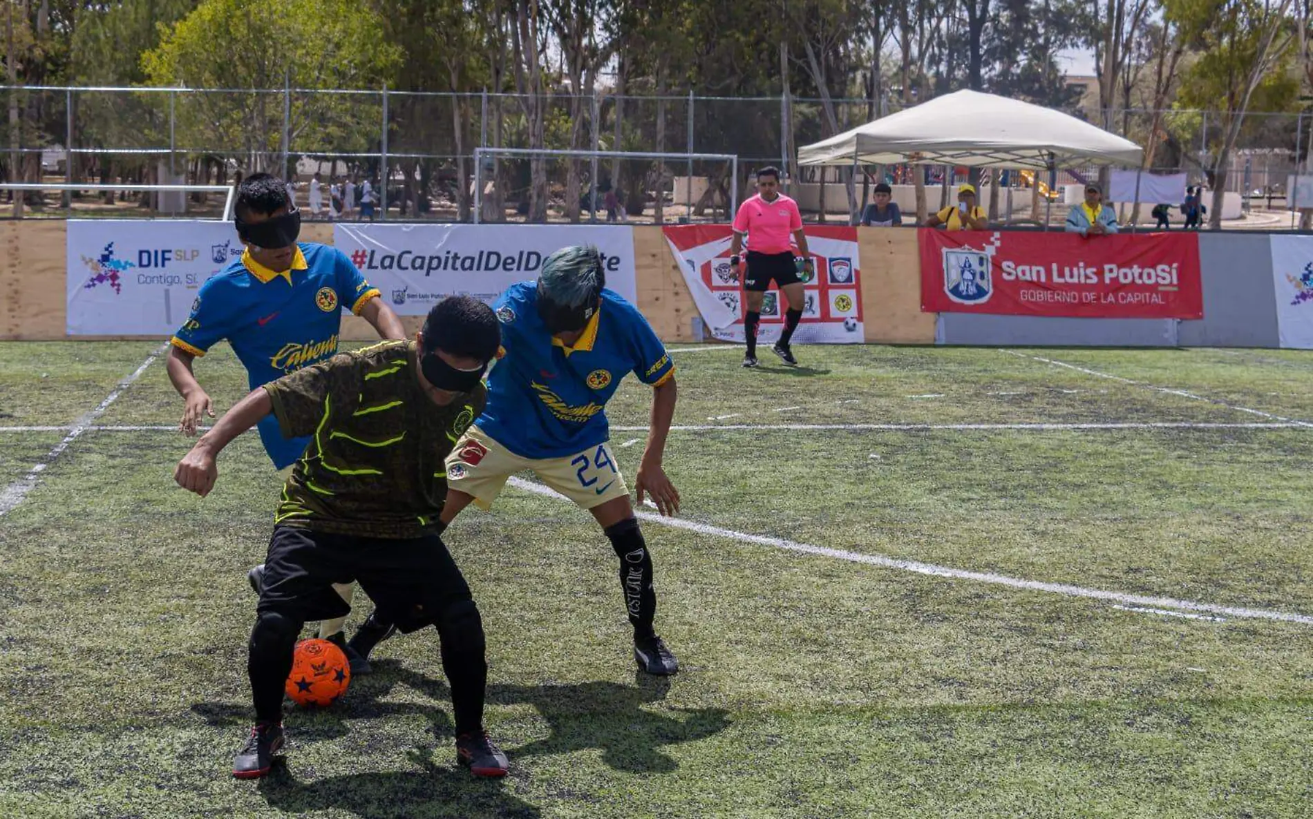 Cocodrilos Veracruz FC